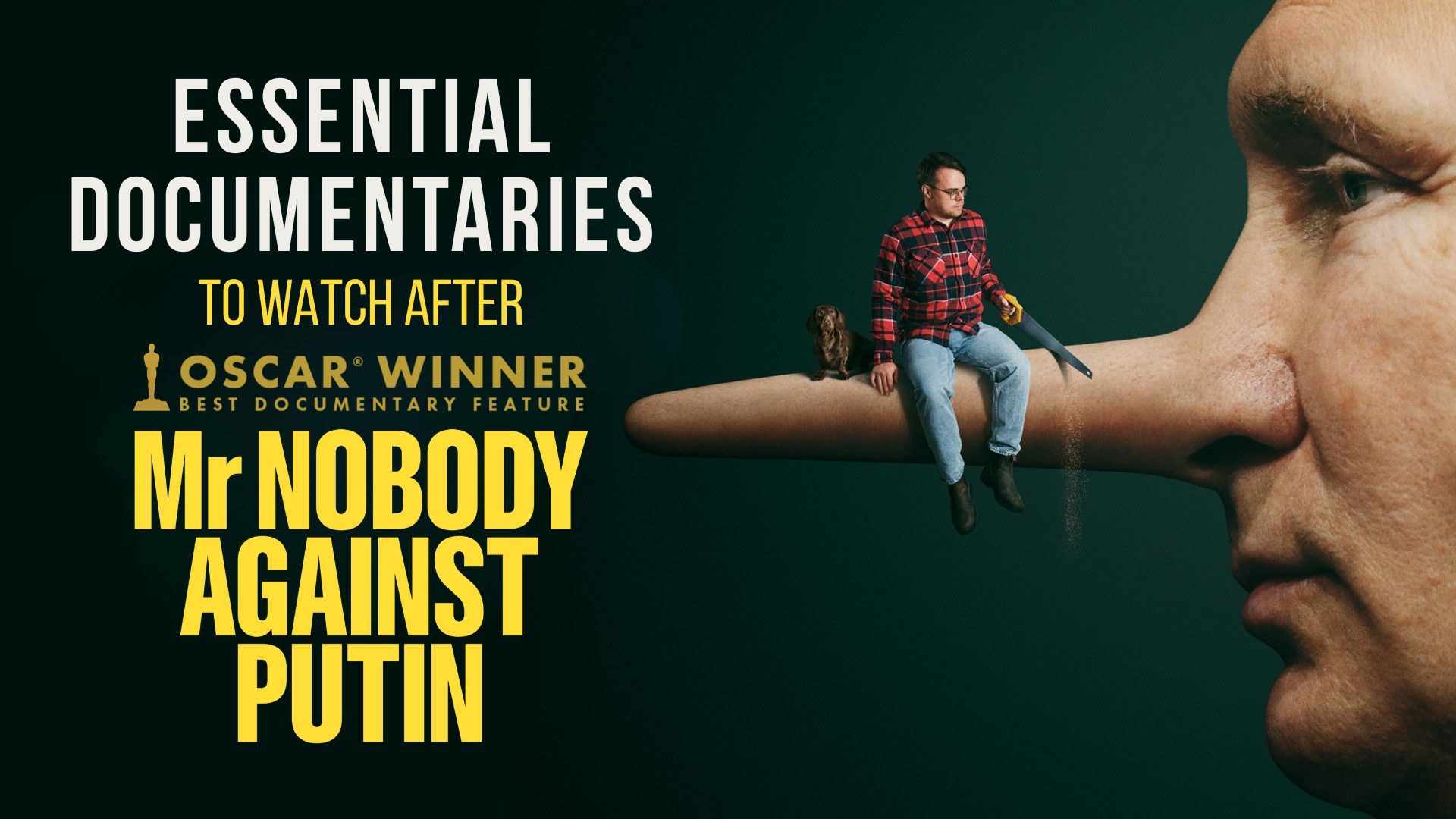 What to Watch After 'Mr. Nobody Against Putin'